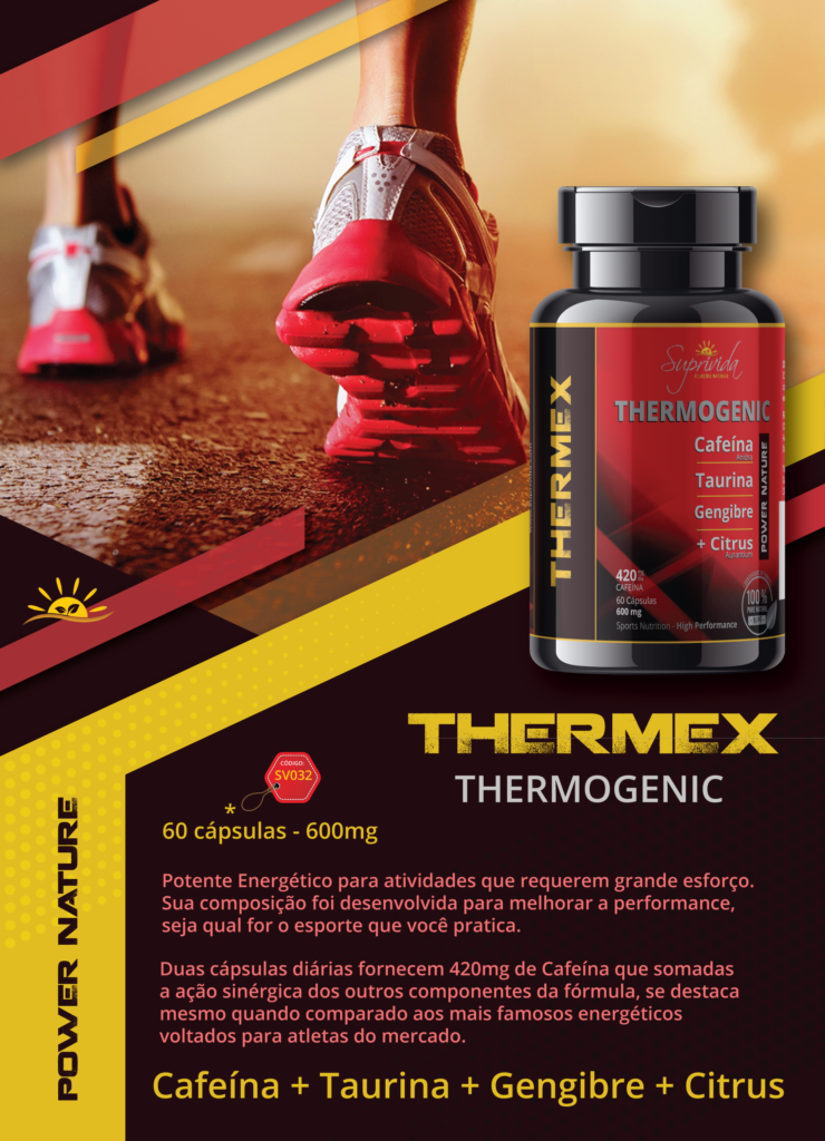 SV THERMEX Template Novo-01